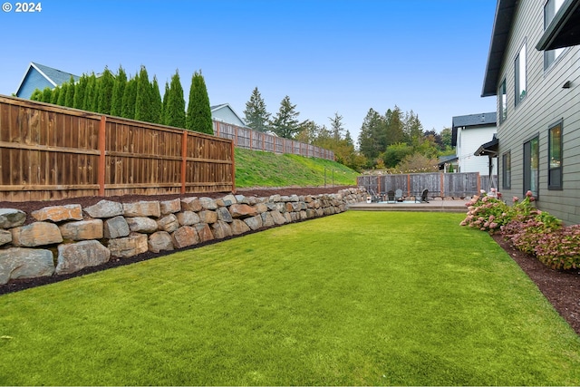 view of yard featuring a patio