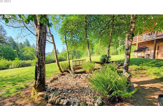 view of yard with a wooden deck