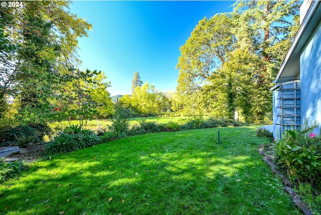 view of grassy yard