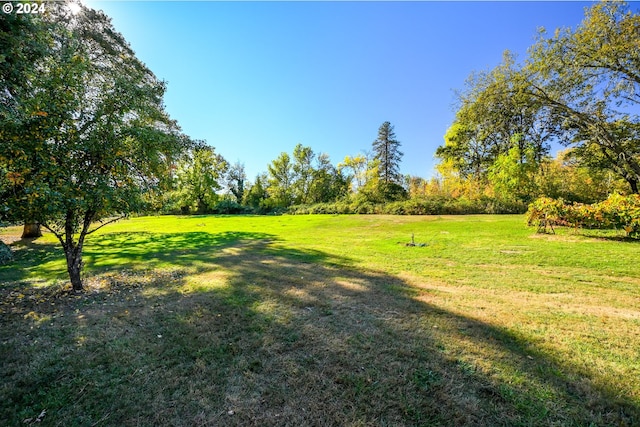 view of green lawn