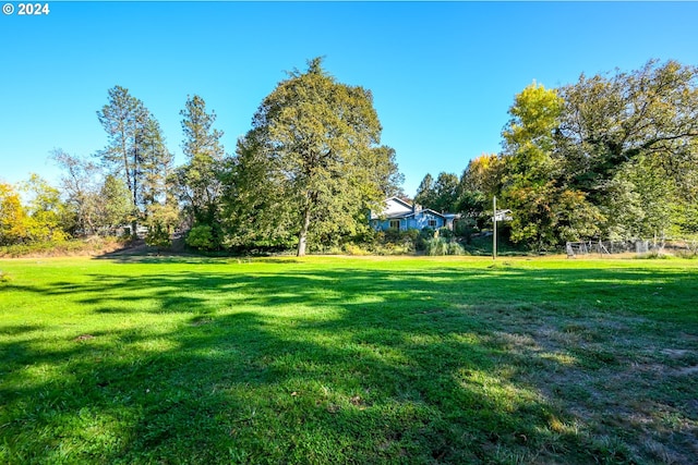 view of home's community with a yard