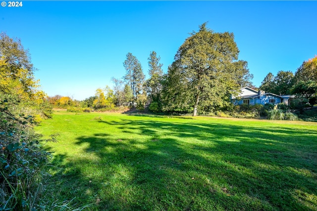 view of green lawn