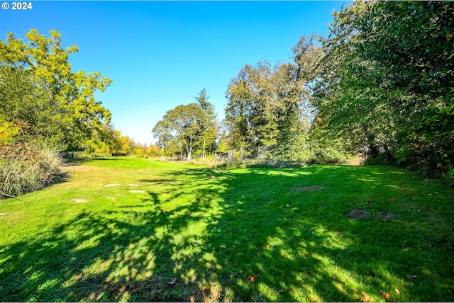 view of grassy yard