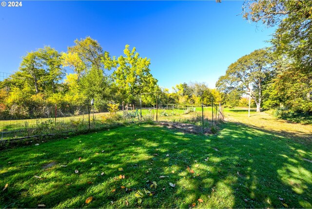 view of grassy yard
