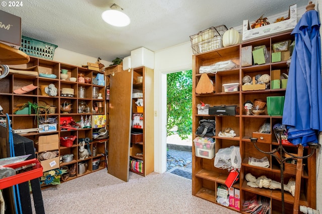 view of storage room