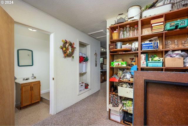storage with attic access