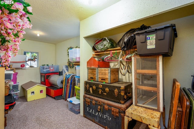 view of storage room