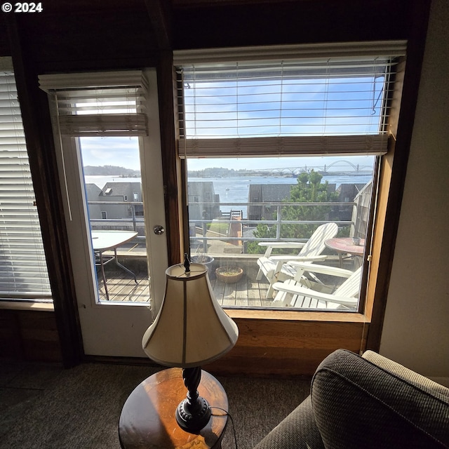 details featuring carpet floors and a water view
