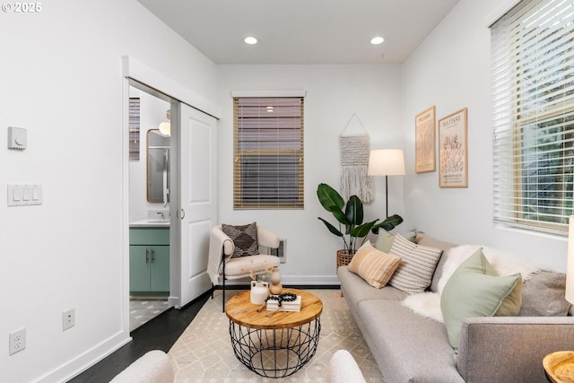 living room with sink and dark hardwood / wood-style floors