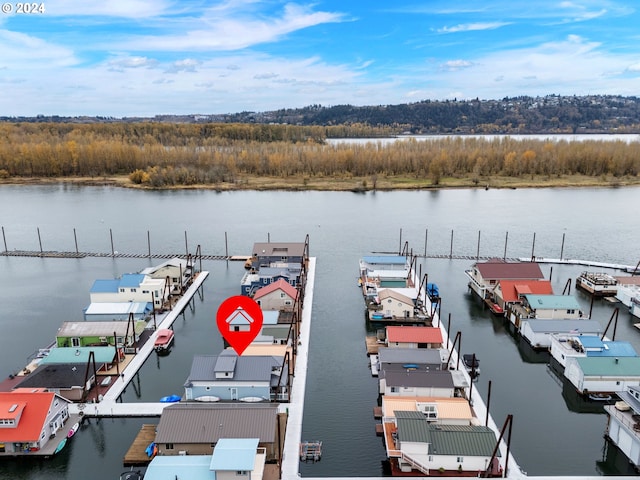 dock area with a water view