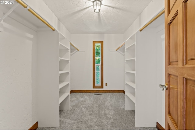 walk in closet with carpet