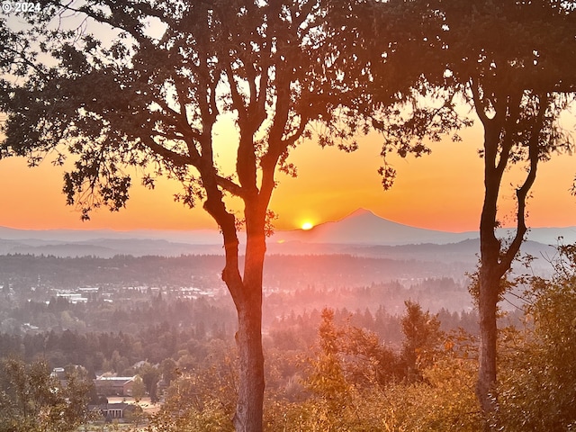 exterior space featuring a mountain view and a forest view