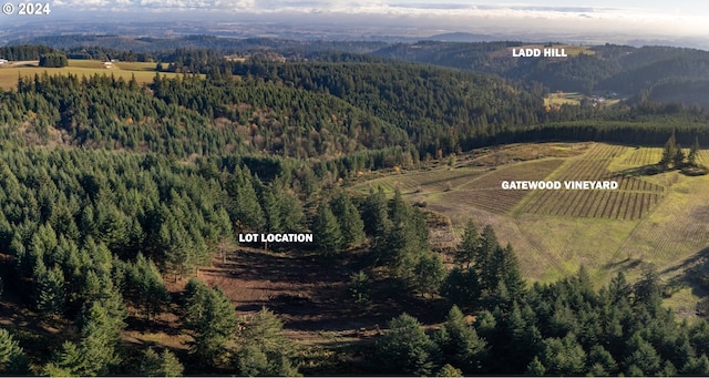 aerial view with a mountain view