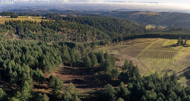 birds eye view of property with a mountain view and a rural view