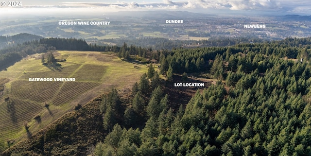 aerial view featuring a rural view