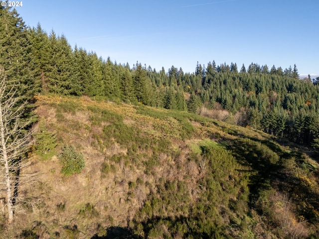 view of local wilderness