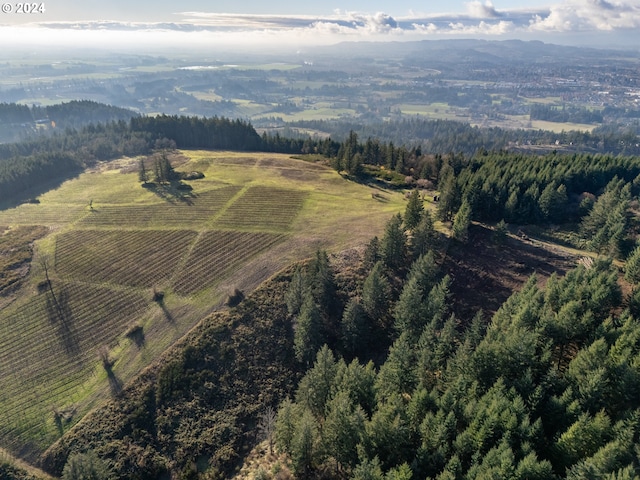 bird's eye view featuring a rural view