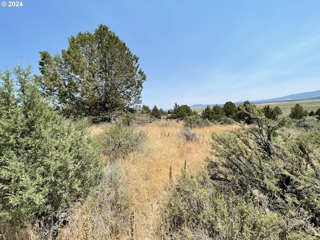 Drews Rd Unit 34, Sprague River OR, 97639 land for sale