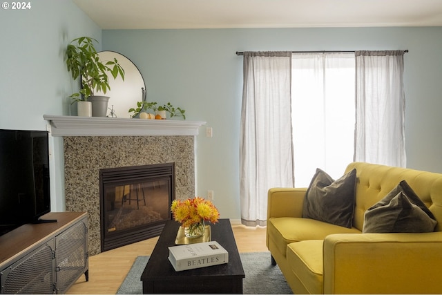 living room featuring hardwood / wood-style flooring and a premium fireplace