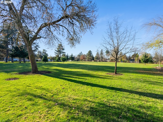 view of home's community featuring a yard