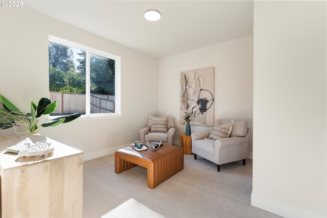 sitting room with light colored carpet