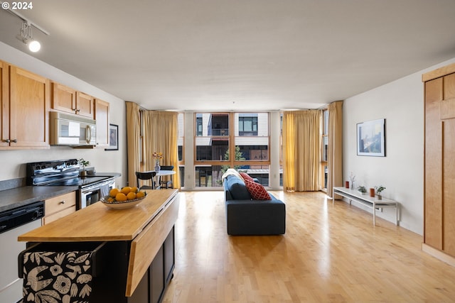 kitchen with dishwasher, light hardwood / wood-style flooring, wooden counters, stainless steel electric range, and light brown cabinets