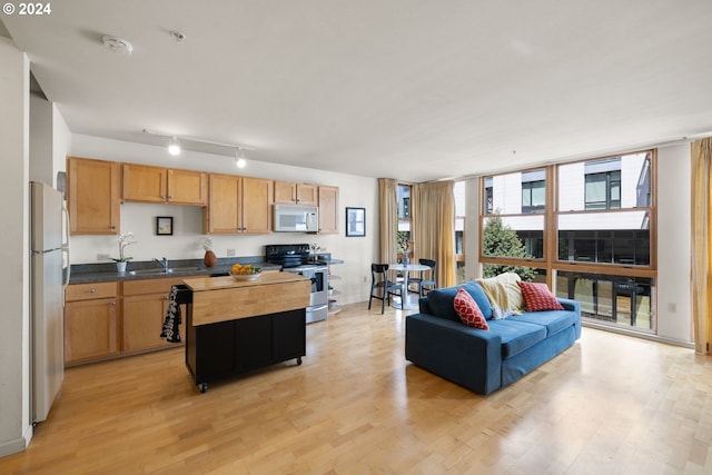 kitchen with floor to ceiling windows, stainless steel electric stove, light wood-type flooring, fridge, and sink