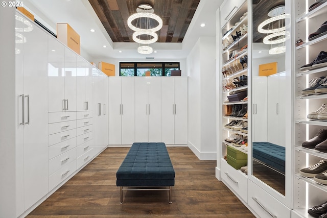 walk in closet featuring dark wood-type flooring and a raised ceiling