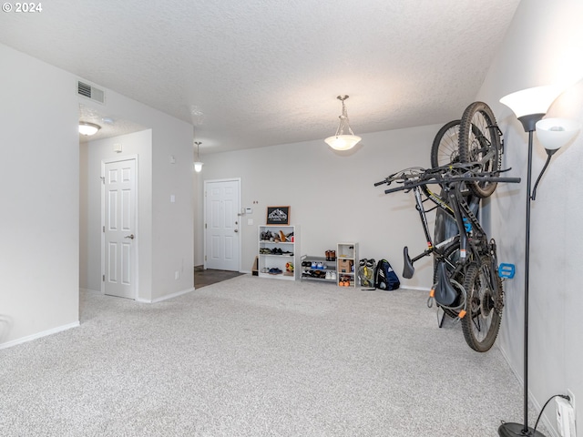 interior space with carpet flooring and a textured ceiling