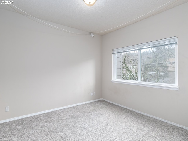 spare room featuring carpet and a textured ceiling