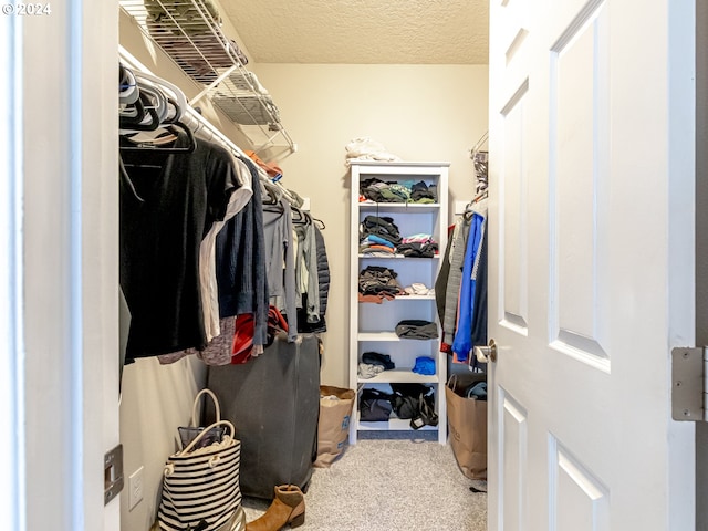 walk in closet with carpet