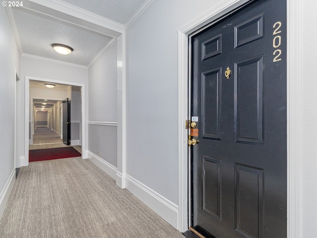 interior space featuring crown molding and a textured ceiling