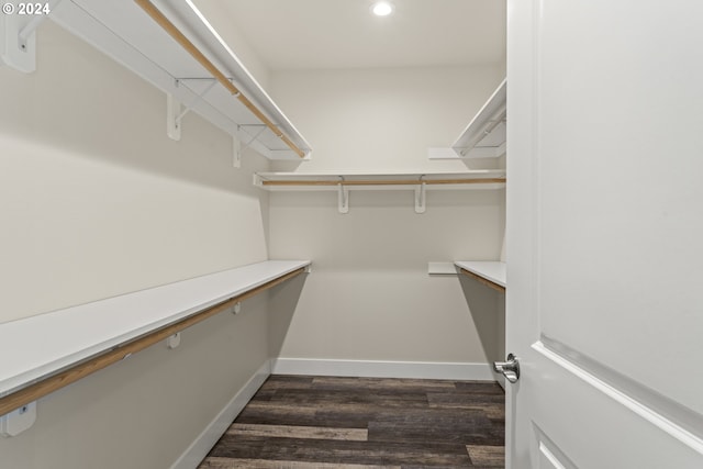 spacious closet featuring dark hardwood / wood-style floors