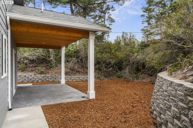 view of yard featuring a patio