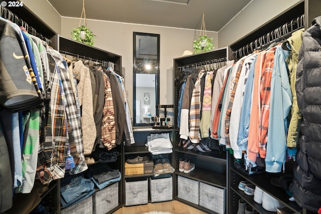 spacious closet with hardwood / wood-style flooring