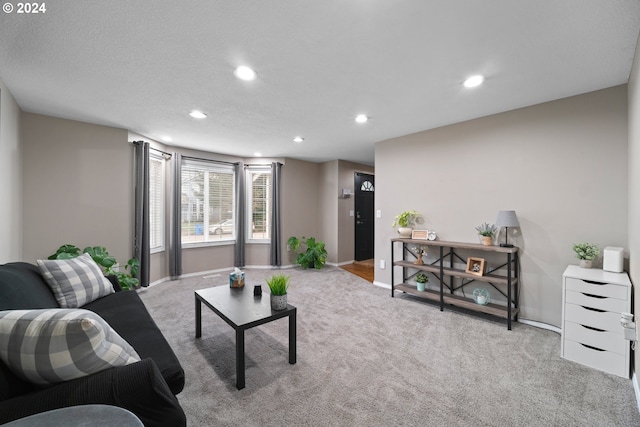 living room with light carpet