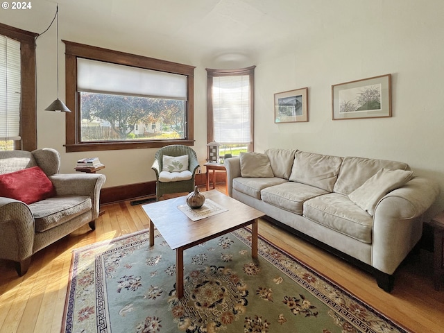 living room with hardwood / wood-style flooring