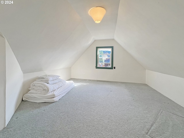 additional living space featuring lofted ceiling and carpet floors