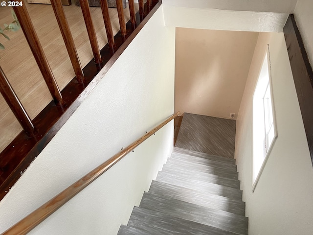 staircase with hardwood / wood-style floors