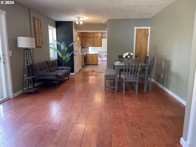 dining room featuring wood-type flooring and a textured ceiling