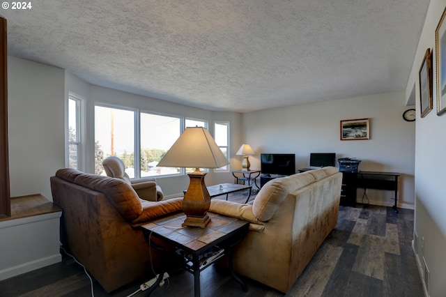 living room featuring a textured ceiling and dark wood-type flooring