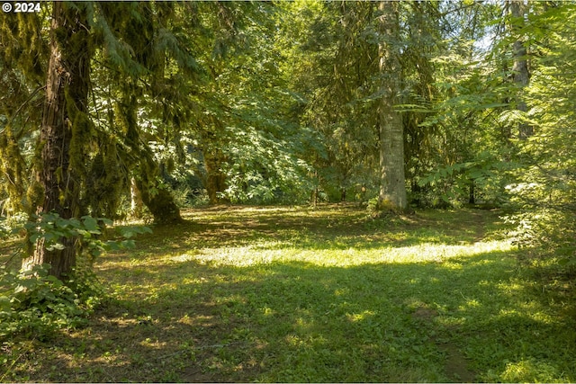 Listing photo 3 for 0 NE Williamson Rd, Newberg OR 97132