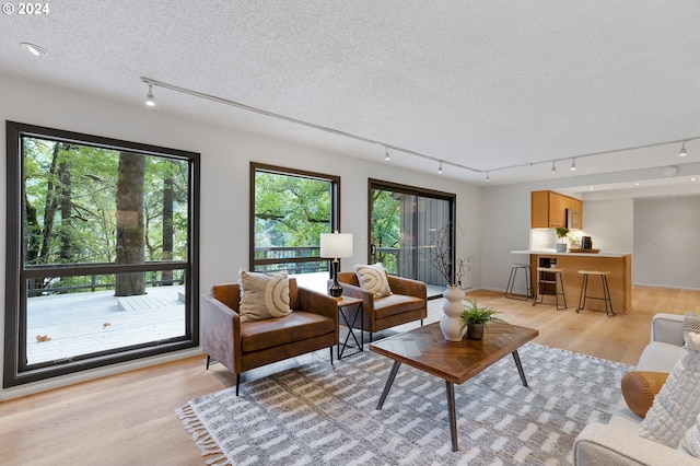 carpeted bedroom featuring track lighting and high vaulted ceiling