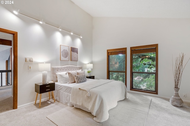 bedroom featuring carpet floors, multiple windows, and rail lighting