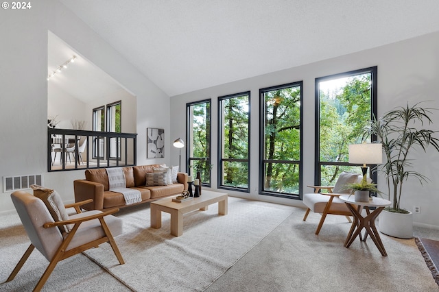 dining room featuring light hardwood / wood-style flooring and lofted ceiling