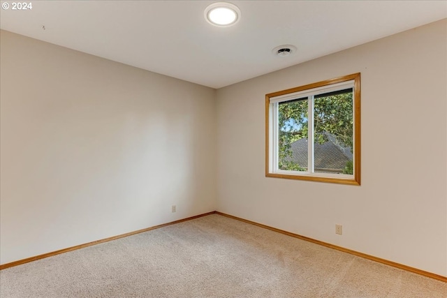 spare room featuring carpet floors