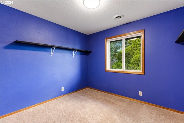 spare room featuring carpet flooring and a textured ceiling