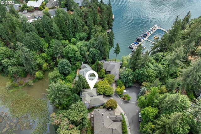 bird's eye view with a water view