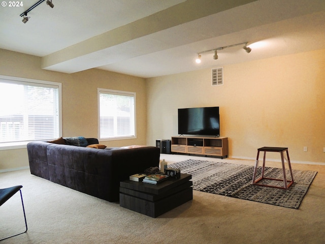 carpeted living room featuring track lighting