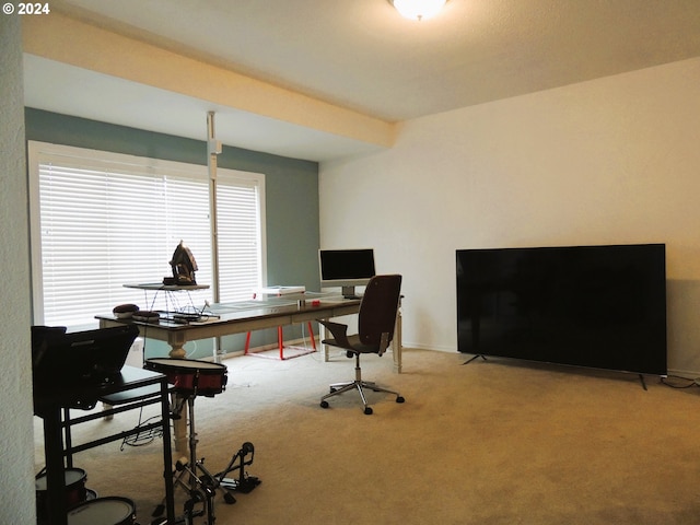 office space featuring carpet flooring